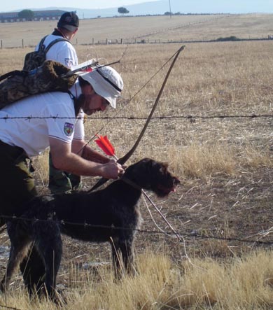La Escuela de Caza celebrará un curso de iniciación a la caza con arco el 16 de enero