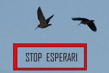 Stop Esperari