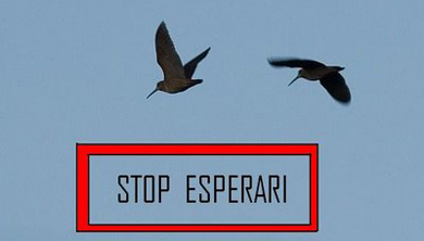 Stop Esperari