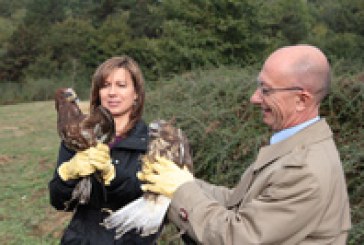 Diversas especies silvestres repueblan el Arboretum del campus de la UPV/EHU