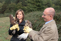 Diversas especies silvestres repueblan el Arboretum del campus de la UPV/EHU