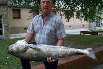 El durangués Pedro Ferreño captura una corvina de 17 kilos en el puerto de Ondarroa