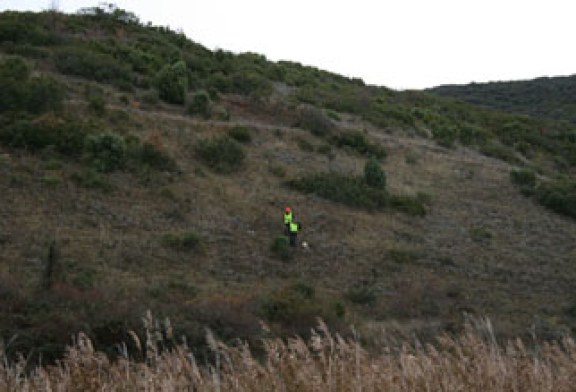 Campeonato de Guipuzkoa de caza menor con perro en Santa Cruz del Fierro