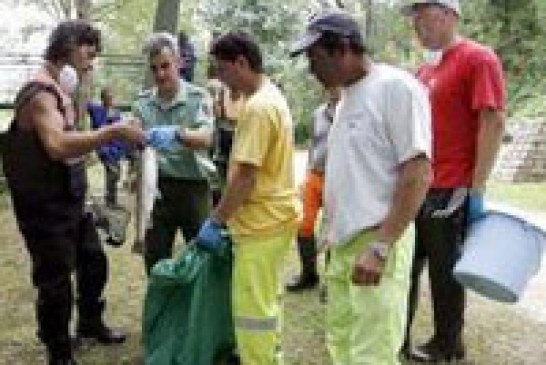 Se reabre la causa del vertido al Besaya por indicios de delito contra el medio ambiente