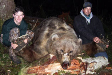 Un oso de 600 kilos sorprende a unos cazadores en Canadá