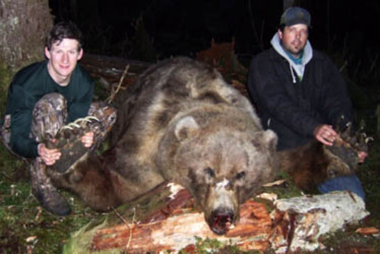 Un oso de 600 kilos sorprende a unos cazadores en Canadá