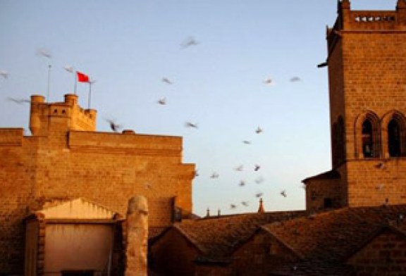 Las palomas toman Olite