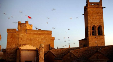 Las palomas toman Olite