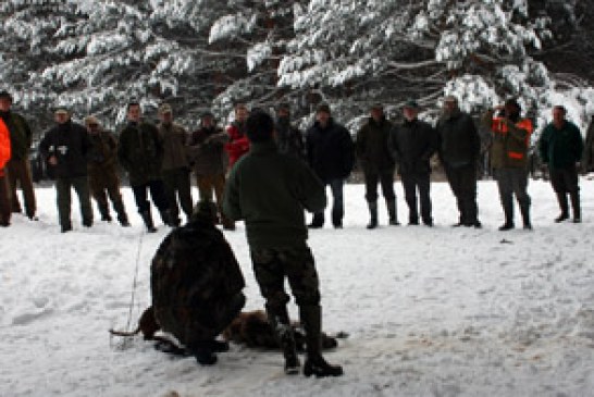 Sansoain acogerá en marzo un curso de rastreo con perros de sangre de la AEPES