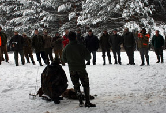 Sansoain acogerá en marzo un curso de rastreo con perros de sangre de la AEPES