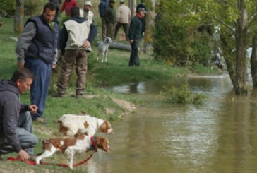 Curso de Instructor-Adiestrador de Perros de Caza