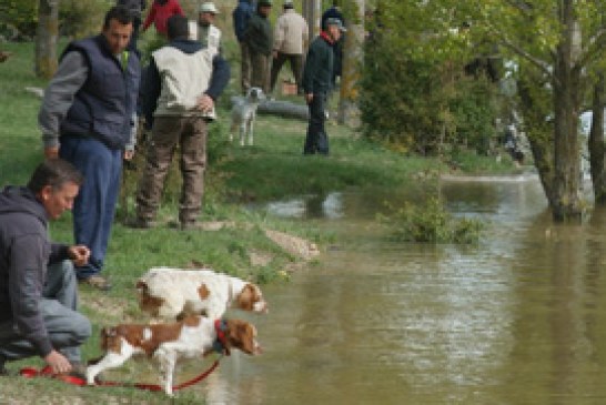 Curso de Instructor-Adiestrador de Perros de Caza