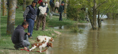 Curso de Instructor-Adiestrador de Perros de Caza