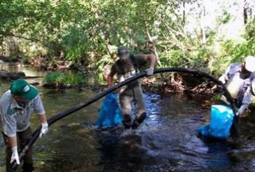 La Diputación de Bizkaia crea la figura de Sociedad Colaboradora para la pesca