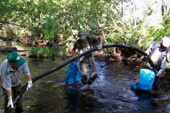 La Diputación de Bizkaia crea la figura de Sociedad Colaboradora para la pesca