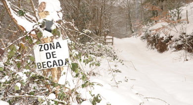 La nieve precipita el fin de campaña