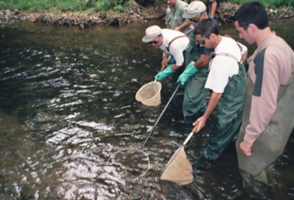 Jornadas sobre pesca sostenible y turismo en los valles pirenaicos