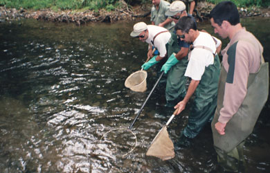 Jornadas sobre pesca sostenible y turismo en los valles pirenaicos