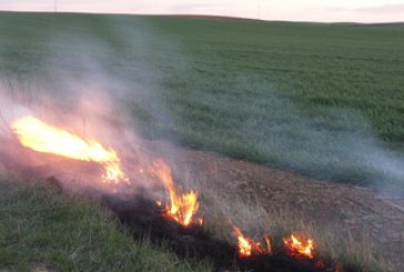 Una Orden que autoriza la quema de rastrojos mantiene en vilo a los cazadores de CyL