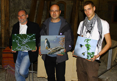 Un halcón peregrino, imagen ganadora del I Concurso de Fotos de la Naturaleza Navarra