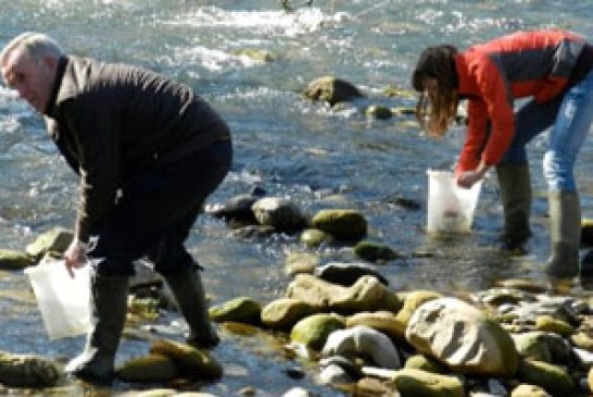 Repueblan con angulones la cuenca del río Oria