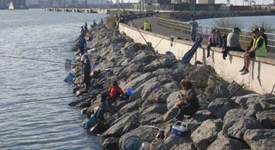 El trofeo del II Open Internacional de corcheo mar viaja para tierras andaluzas