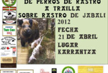 Campeonato de Bizkaia de Perros de Rastro atraillados sobre Jabalí en Karrantza