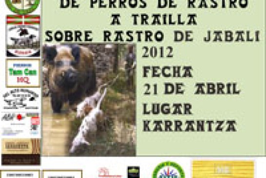 Campeonato de Bizkaia de Perros de Rastro atraillados sobre Jabalí en Karrantza