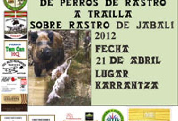 Campeonato de Bizkaia de Perros de Rastro atraillados sobre Jabalí en Karrantza