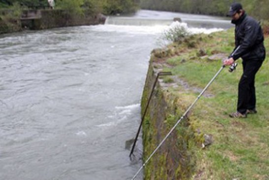 Comienza la temporada de pesca de trucha y salmón en Navarra