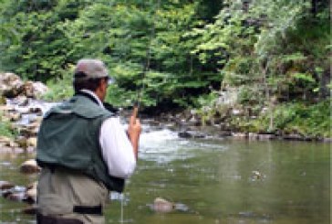 Jornadas festivas de la pesca sostenible