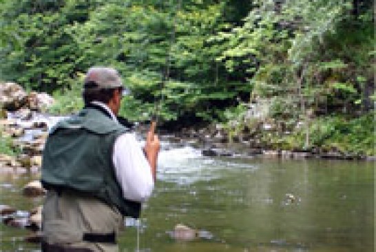 Jornadas festivas de la pesca sostenible