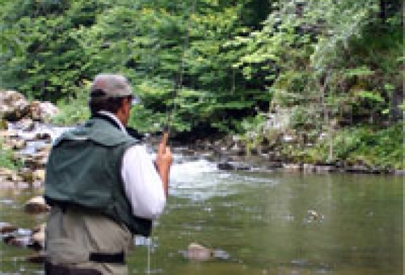 Jornadas festivas de la pesca sostenible