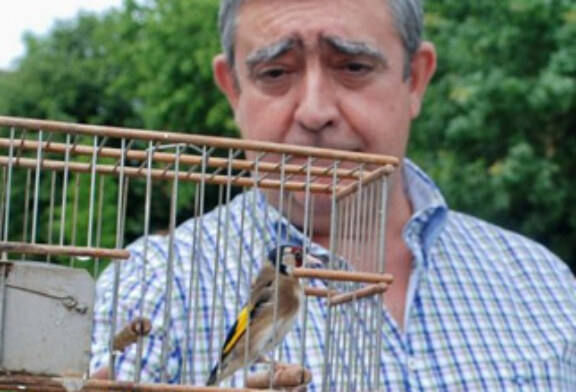 Amurrio retoma su cita anual con los pájaros cantores en su sexta edición
