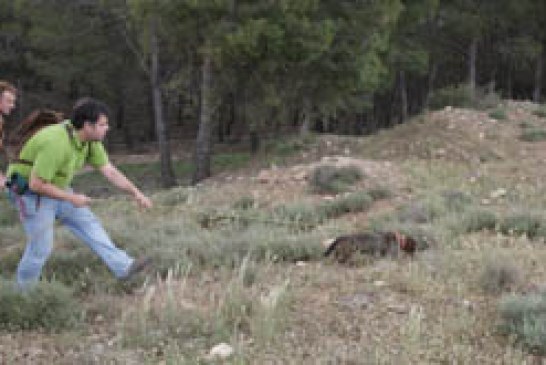 Tudela acogió el I Curso Básico para el Rastreo y Cobro de Piezas Heridas