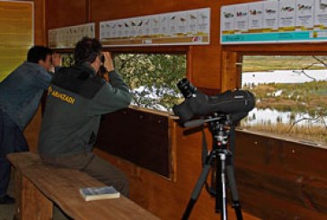 Medio Ambiente invierte en educación ambiental en el Urdaibai Bird Center