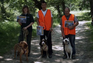 Adrenalina en el autonómico navarro de perros de rastro atraillados sobre jabalí