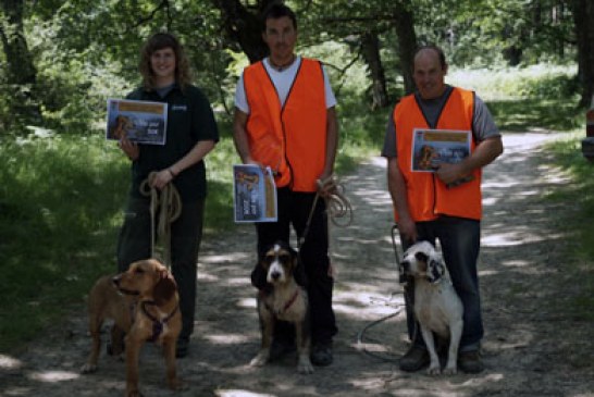 Adrenalina en el autonómico navarro de perros de rastro atraillados sobre jabalí