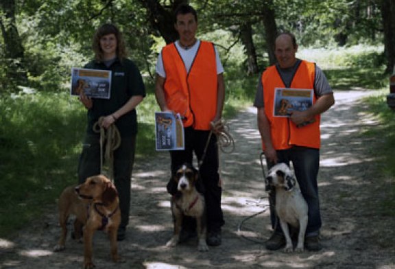 Adrenalina en el autonómico navarro de perros de rastro atraillados sobre jabalí