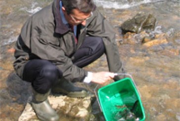 Bizkaia destina 105.000 euros a actividades de conservación de recursos naturales