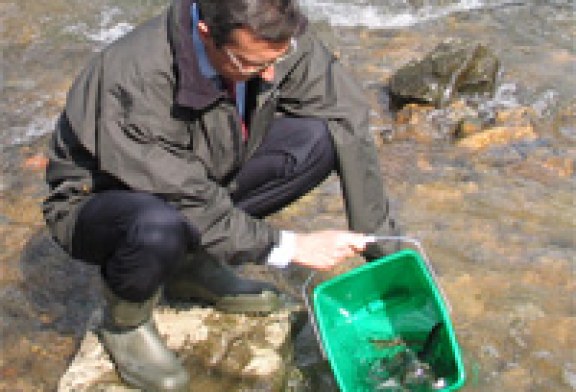 Bizkaia destina 105.000 euros a actividades de conservación de recursos naturales