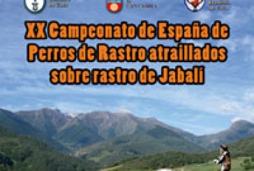 Todo listo para el Campeonato de España de Perros de Rastro Atraillado sobre Jabalí