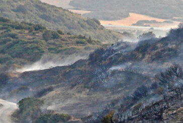 El incendio de Ujué afectó a 237 hectáreas, de las que el 86% eran terreno forestal