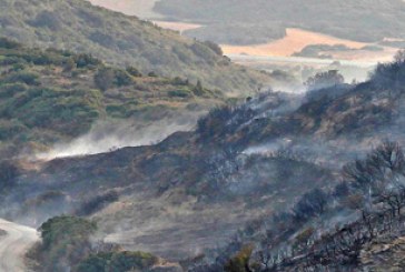 El incendio de Ujué afectó a 237 hectáreas, de las que el 86% eran terreno forestal