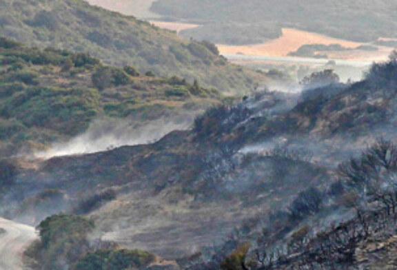 El incendio de Ujué afectó a 237 hectáreas, de las que el 86% eran terreno forestal