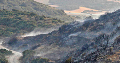 El incendio de Ujué afectó a 237 hectáreas, de las que el 86% eran terreno forestal