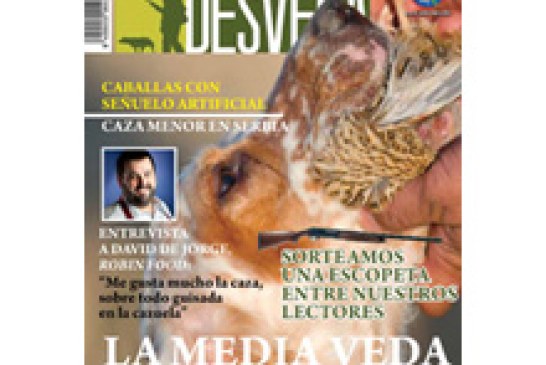 La revista DESVEDA/ADECAP de agosto ya está disponible