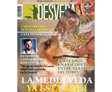 La revista DESVEDA/ADECAP de agosto ya está disponible