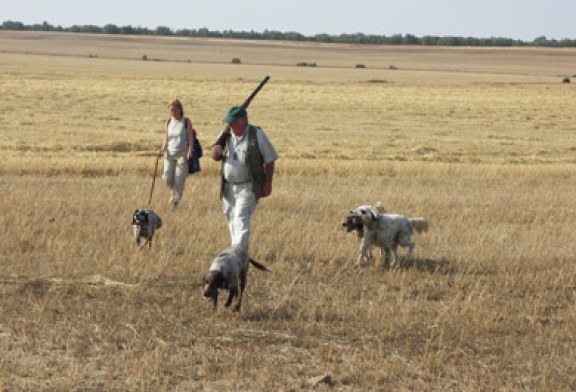 Navarra contará en 2013 con un sistema online para caza y pesca