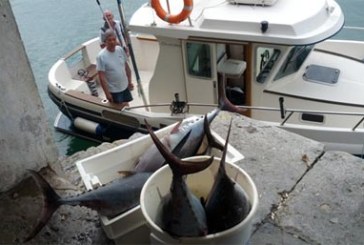 La pesca marítima recreativa en Euskadi